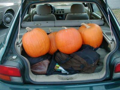 trunk