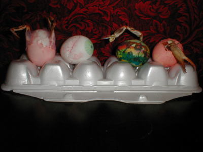 bad_bad_eggs