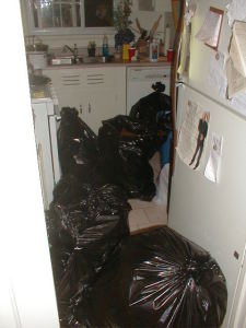 trashpiles