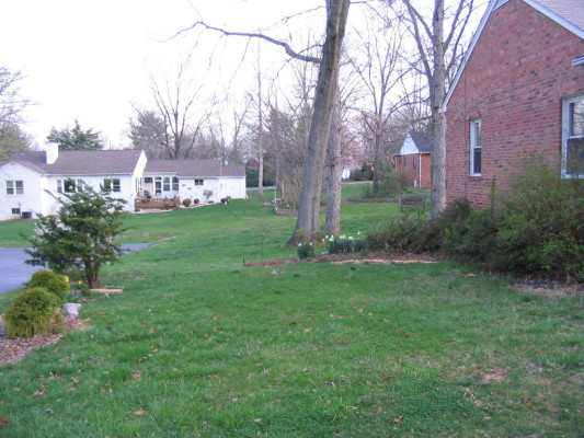 side_yard
