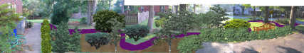 pano_3e_plants