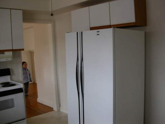 smkitchen_fridge5629