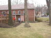 little_shed5609