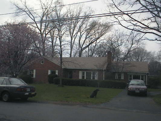 housefront_cherryblooms