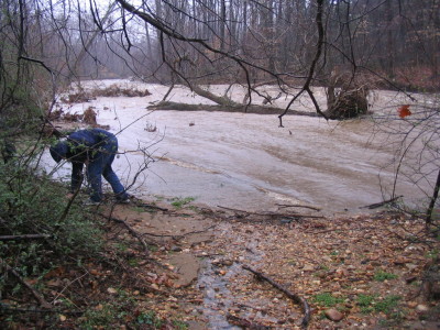 IMG_4872