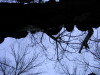 IMG_1923