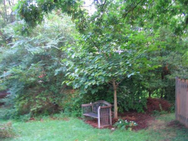IMG_6294b