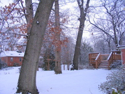 deck