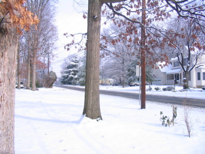 street