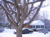 front_oak