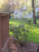 lovely_glancing_view