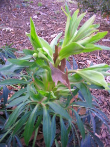 IMG_6574