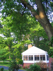 looking_west_to_maries