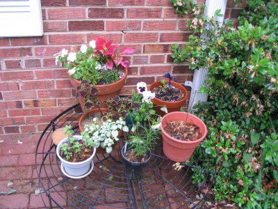 various_containers