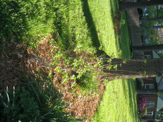IMG_5477