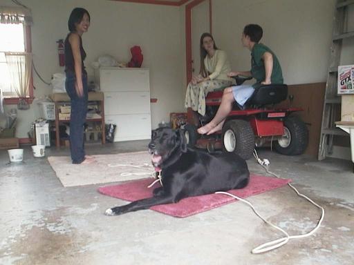 garage_dog&3