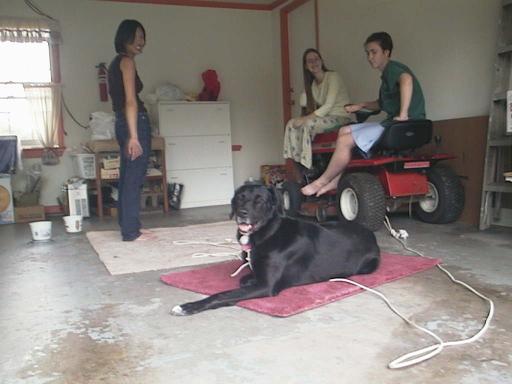 garage_dog&3_d