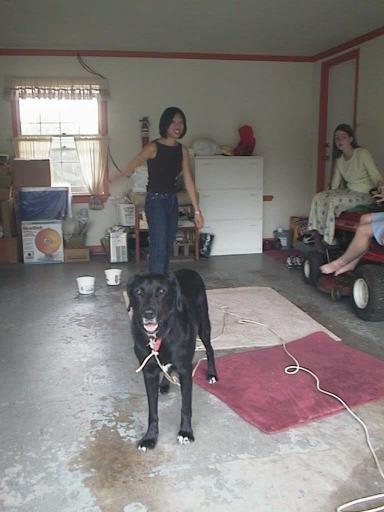 garage_tig_guards