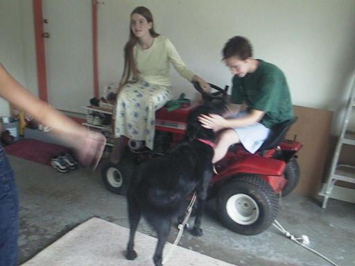 garage_tig_o_suz_blur