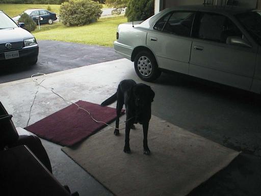 garage_tig_waits