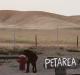 Tig_pet_area