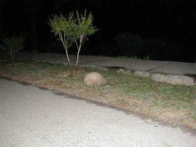 ARMADILLO