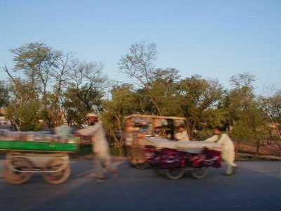 road_vendors