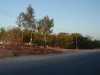 road_dirt_tinypeople_powerlines
