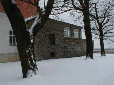 winter_wall